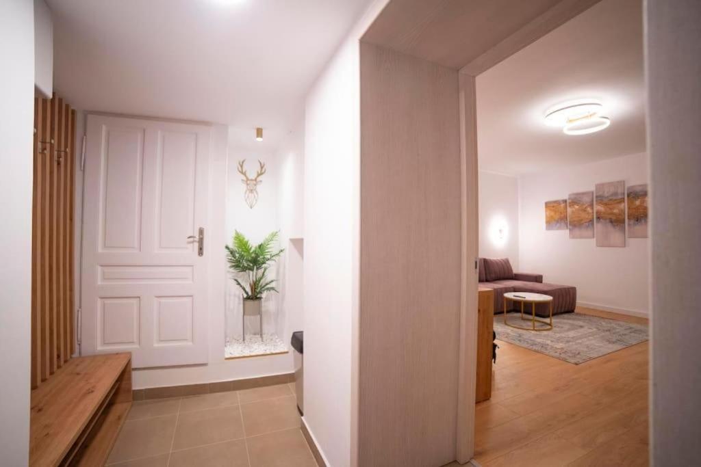 Coban Residence Apartments Brasov Exterior photo